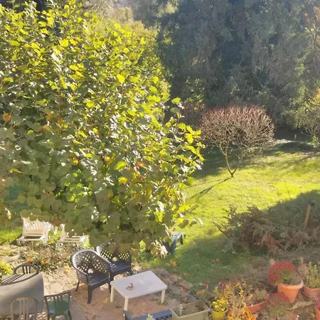 A La Grenouille Du Jura Gasthof 3*