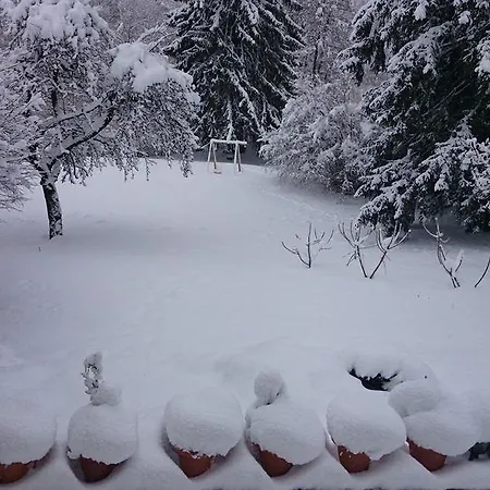A La Grenouille Du Jura Gasthof 3*